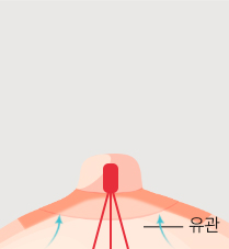 유관보존법