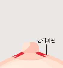 유관보존법